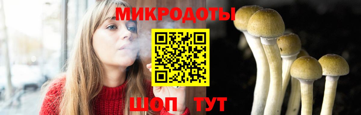 Галлюциногенные грибы прущие грибы  Вход с VPN  где можно купить   Будённовск 
